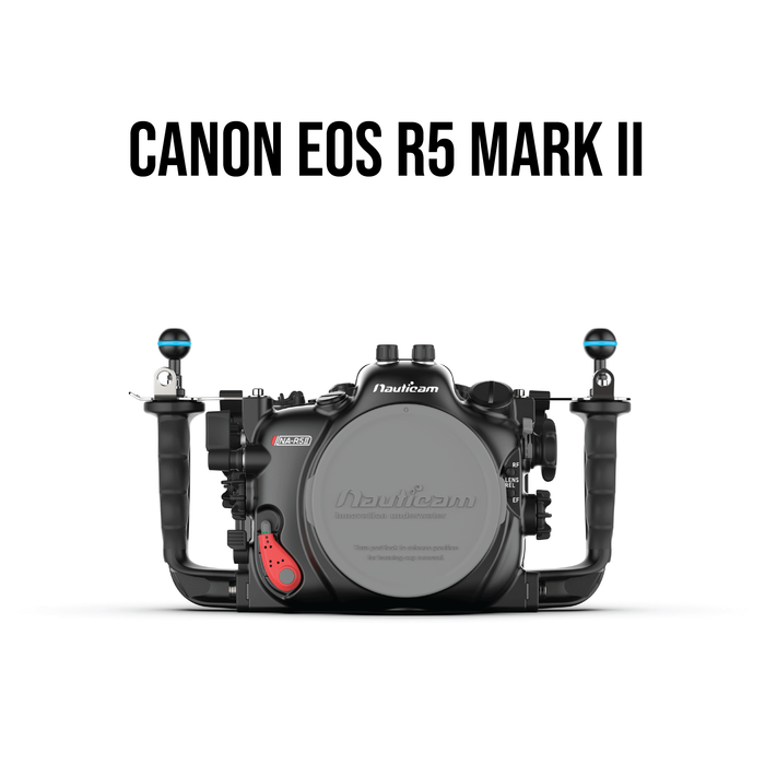 SUNWAYFOTO PCL-R5GII - Soporte L para Canon EOS R5R6 con empuñadura de SUNWAYFOTO PCL-R5GII - Soporte L para Canon EOS R5R6 con empuñadura de