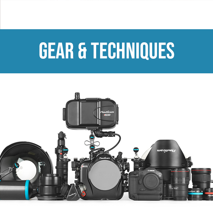 nauticam ズームギア na-se1650-pz SE1650-PZ Zoom Gear ~for Sony E-Mount PZ 16-50mm F3.5-5.6