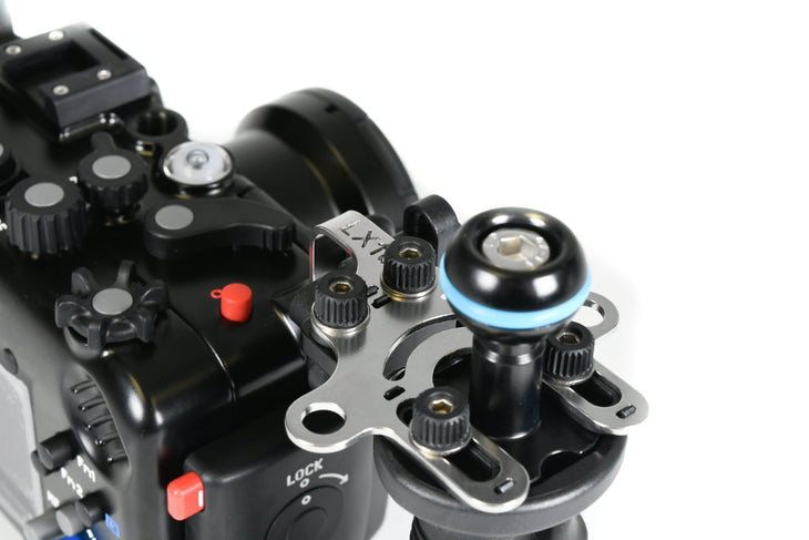 Viti Farfalla M4 X 7mm In Acciaio Nichelato Per Cercatore Telescopio - Senza Attrezzi - Foto 1
